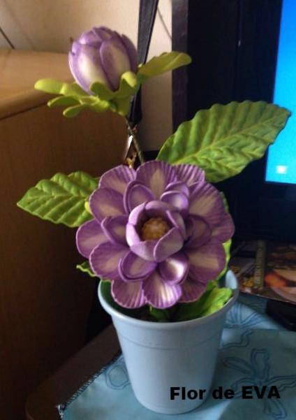 flor de EVA